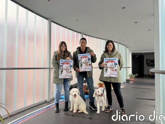 Astillero acoge este sábado el III Concurso Nacional Monográfico de Perro de Agua del Cantábrico