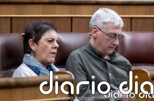 Bildu critica la rebaja generalizada de impuestos porque sólo aumentará los beneficios de petroleras y energéticas