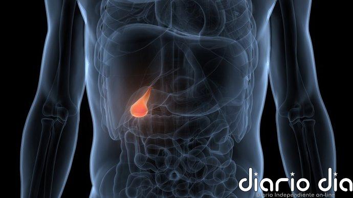 BiliSeq, la prueba que dobla la capacidad de detectar el cáncer de las vías biliares y afina el diagnóstico