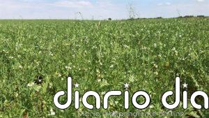 C-LM moviliza 14,2 millones para sostener explotaciones agrarias en ZEPA y zonas de montaña en 2026