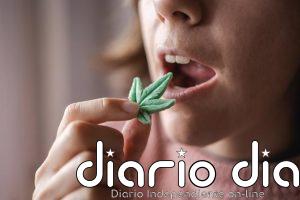 Cannabis medicinal y salud mental: la mayor revisión hasta ahora desmonta sus supuestos beneficios