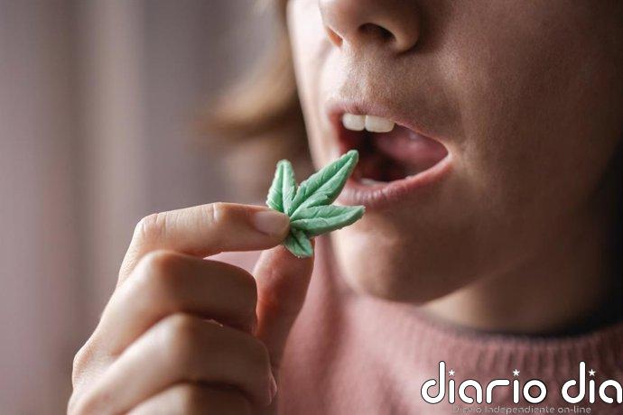 Cannabis medicinal y salud mental: la mayor revisión hasta ahora desmonta sus supuestos beneficios