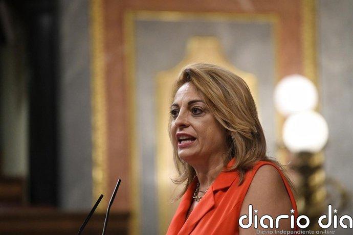 CC ve "insuficiente" el decreto anticrisis para Canarias y pide compensaciones extra para su apoyo en el Congreso