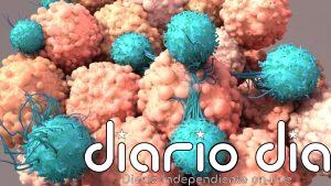 Células CAR-T 'con memoria' que no se agotan: así quieren frenar las recaídas del cáncer y el VIH