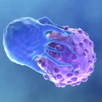 Células CAR-T diseñadas para bloquear defensas tumorales muestran eficacia en modelos de glioblastoma y cáncer de ovario