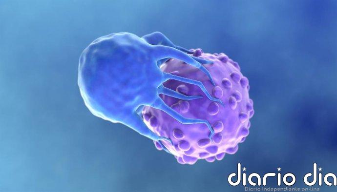 Células CAR-T diseñadas para bloquear defensas tumorales muestran eficacia en modelos de glioblastoma y cáncer de ovario