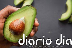 Cómo conservar los aguacates para que estén maduro durante más tiempo