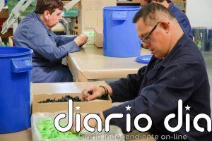 Convocadas subvenciones para contratación indefinida de personal en unidades de apoyo de los Centros Especiales Empleo