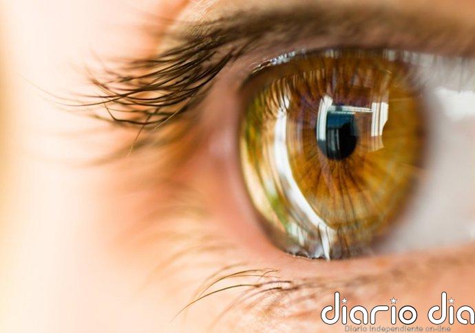 Crean un colirio 'vivo' con bacterias del ojo que podría acelerar la cicatrización de la córnea