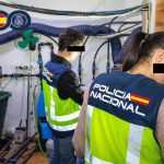 Desmantelada la infraestructura de una red de narcotráfico en Ceuta que enviaba hachís a España y Francia