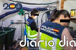 Desmantelada la infraestructura de una red de narcotráfico en Ceuta que enviaba hachís a España y Francia