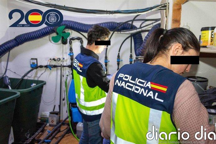 Desmantelada la infraestructura de una red de narcotráfico en Ceuta que enviaba hachís a España y Francia