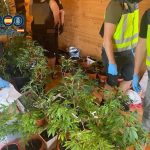 Desmantelado un punto de venta de drogas en el sur de Tenerife que operaba bajo un falso club social