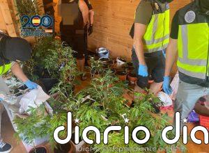 Desmantelado un punto de venta de drogas en el sur de Tenerife que operaba bajo un falso club social