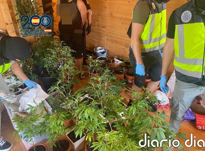 Desmantelado un punto de venta de drogas en el sur de Tenerife que operaba bajo un falso club social