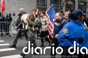 Detectan explosivos en los objetos lanzados contra la residencia del Alcalde de Nueva York