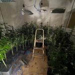 Detenido por cultivar marihuana en una vivienda de Santa Catalina con una instalación eléctrica ilegal