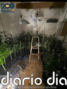 Detenido por cultivar marihuana en una vivienda de Santa Catalina con una instalación eléctrica ilegal