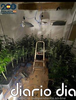 Detenido por cultivar marihuana en una vivienda de Santa Catalina con una instalación eléctrica ilegal