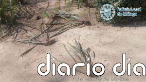 Detenido por provocar daños en plantas y mobiliario de los jardines del Paseo del Parque de Málaga