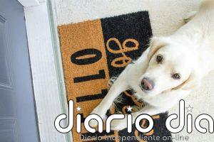 Dile adiós al felpudo clásico: una nueva alternativa gana popularidad en los hogares