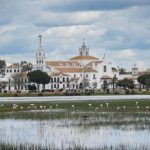 Doñana despide un invierno muy lluvioso y presenta una primavera con "buenas perspectivas"
