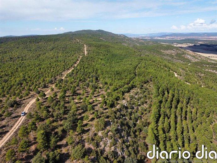 Ecologistas en Acción traslada su oposición al proyecto de ToroVerde apuntando al impacto ambiental y el consumo de agua