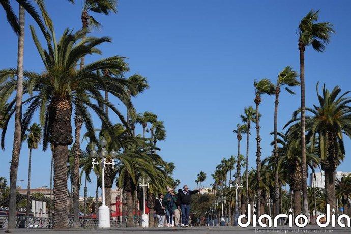 El 112 recibe 111 llamadas por el fuerte viento en Catalunya hasta las 8 horas de este domingo