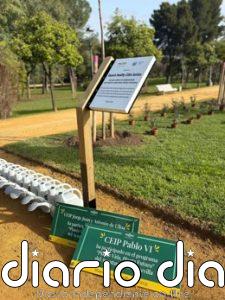 El Ayuntamiento de Sevilla impulsa la regeneración del Parque Amate con 295 nuevos árboles y 1.400 arbustos