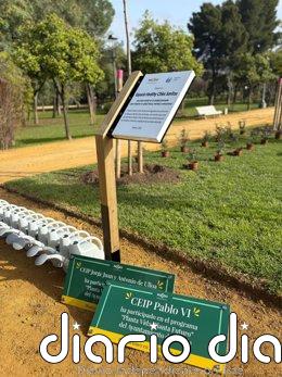 El Ayuntamiento de Sevilla impulsa la regeneración del Parque Amate con 295 nuevos árboles y 1.400 arbustos