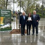 El Ayuntamiento reconoce a Martín Casillas y Grupo Integra por su aportación al proyecto 'Replanta Sevilla'
