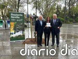 El Ayuntamiento reconoce a Martín Casillas y Grupo Integra por su aportación al proyecto 'Replanta Sevilla'