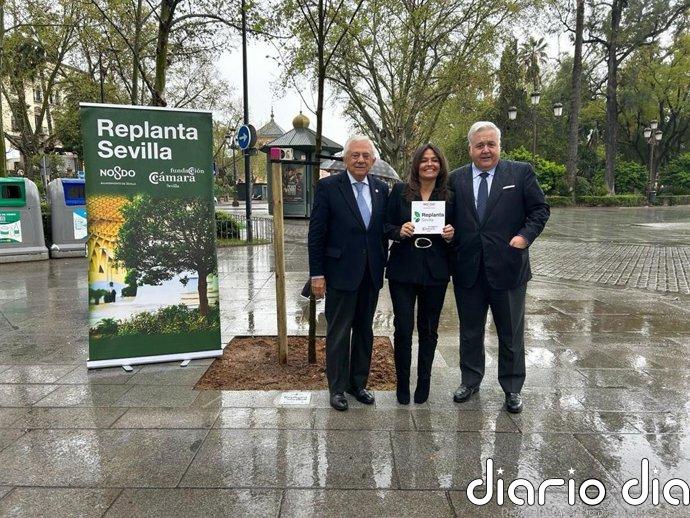 El Ayuntamiento reconoce a Martín Casillas y Grupo Integra por su aportación al proyecto 'Replanta Sevilla'