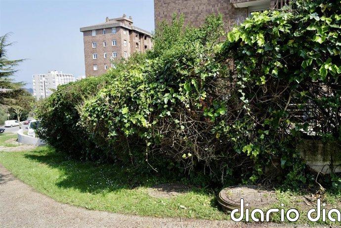 El detenido en relación a la muerte de un aficionado del Racing trabajó en el Albacete Balompié