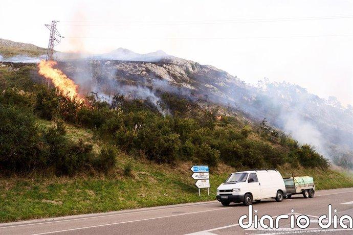 El Gobierno activará este miércoles el nivel 2 de alerta por riesgo de incendios forestales en toda Cantabria