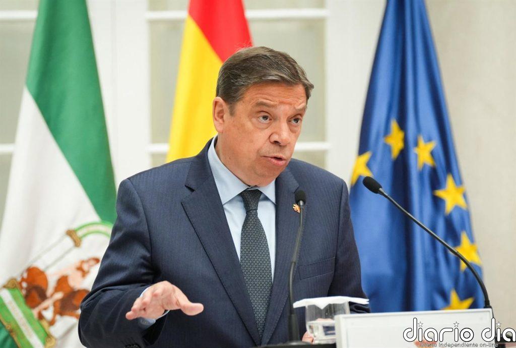 El Gobierno anuncia la candidatura de Planas para dirigir la FAO, puesto que no se decidirá hasta 2027