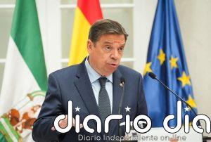 El Gobierno anuncia la candidatura de Planas para dirigir la FAO, puesto que no se decidirá hasta 2027