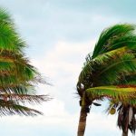 El Gobierno de Canarias da por finalizada la prealerta por viento y oleaje en las islas