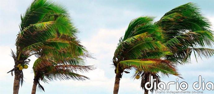 El Gobierno de Canarias da por finalizada la prealerta por viento y oleaje en las islas