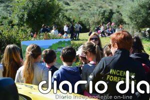 El Govern organiza actividades por el Día de los Bosques para divulgar su importancia entre la ciudadanía