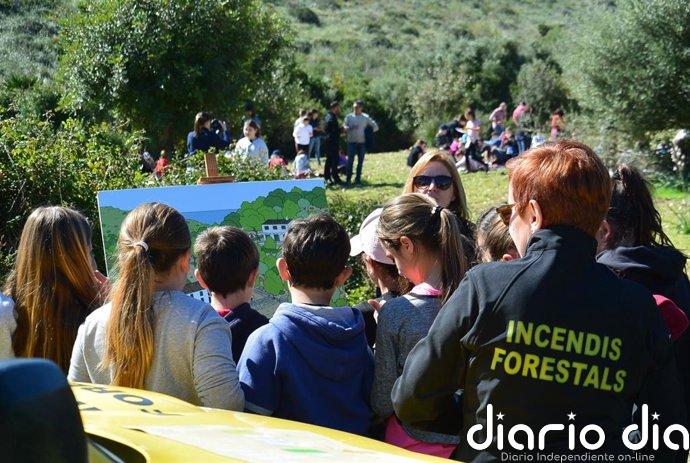 El Govern organiza actividades por el Día de los Bosques para divulgar su importancia entre la ciudadanía