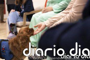 El Hospital de Bellvitge incorpora la terapia asistida con perros para tratar la salud mental