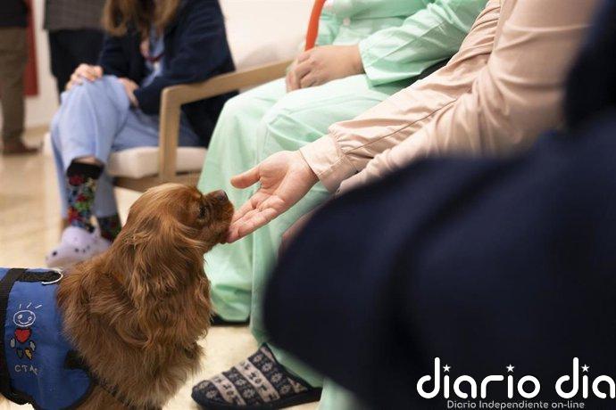 El Hospital de Bellvitge incorpora la terapia asistida con perros para tratar la salud mental