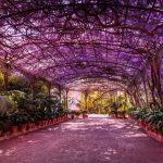 El Jardín Botánico Histórico La Concepción de Málaga incorpora un servicio gratuito de audioguía para sus visitantes
