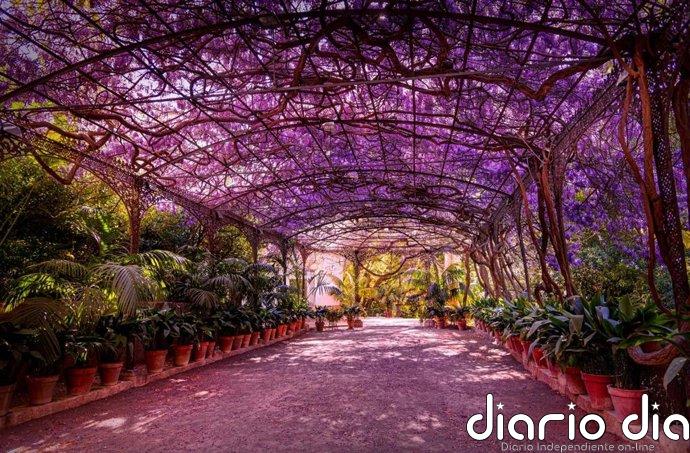 El Jardín Botánico Histórico La Concepción de Málaga incorpora un servicio gratuito de audioguía para sus visitantes
