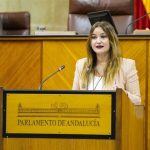El Parlamento rechaza con votos de PP-A y Vox una iniciativa del PSOE-A que pedía derogar la Ley andaluza de Vivienda