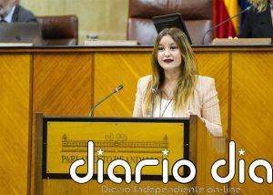 El Parlamento rechaza con votos de PP-A y Vox una iniciativa del PSOE-A que pedía derogar la Ley andaluza de Vivienda