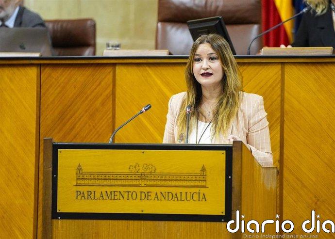 El Parlamento rechaza con votos de PP-A y Vox una iniciativa del PSOE-A que pedía derogar la Ley andaluza de Vivienda