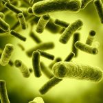 El Plan Regional frente a la Resistencia de los Antibióticos de C-LM centra su atención en la concienciación pública