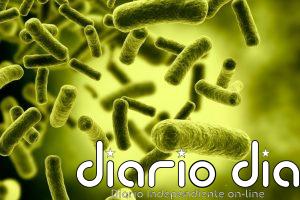 El Plan Regional frente a la Resistencia de los Antibióticos de C-LM centra su atención en la concienciación pública